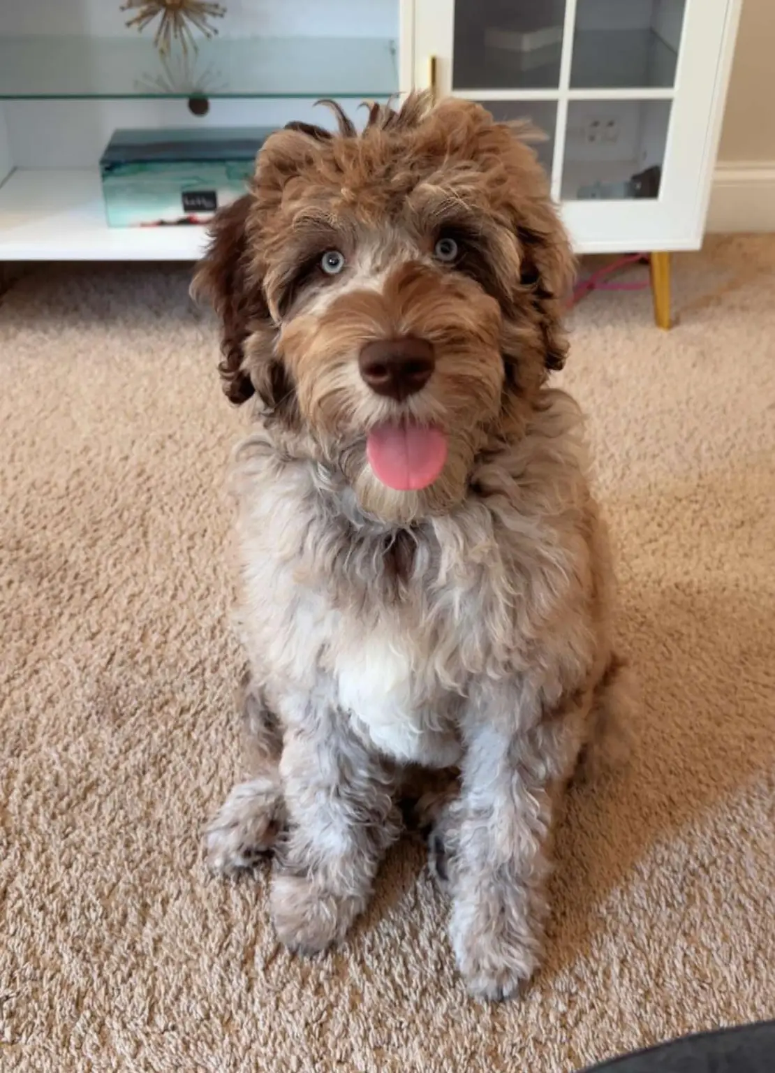 Bentley